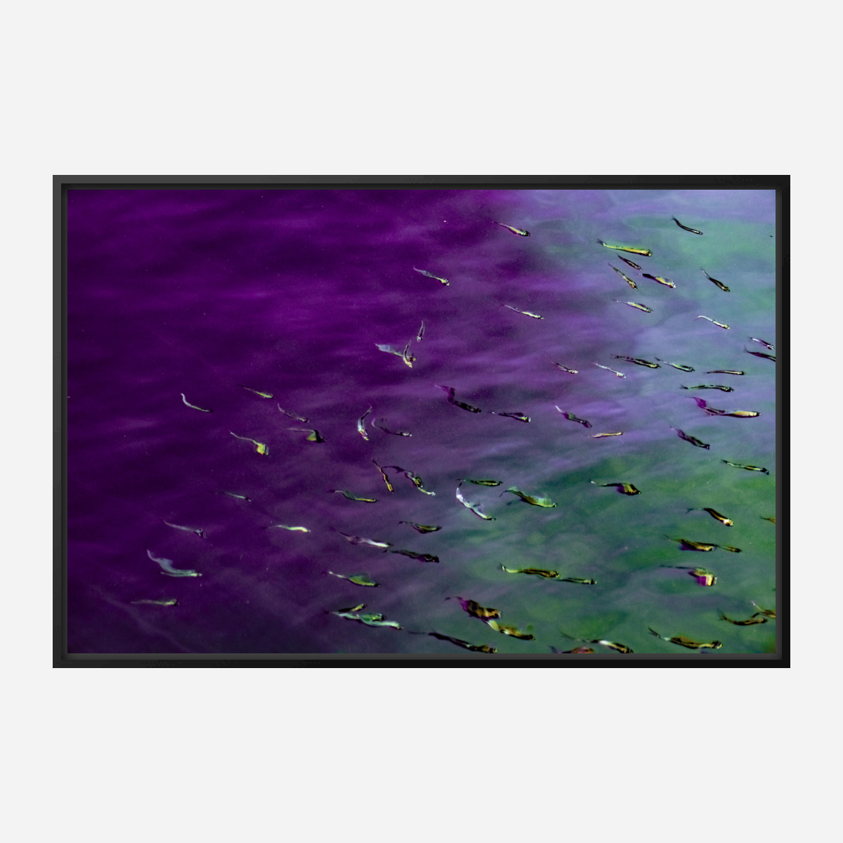 CANVAS PRINT: "LUCID FLOW"