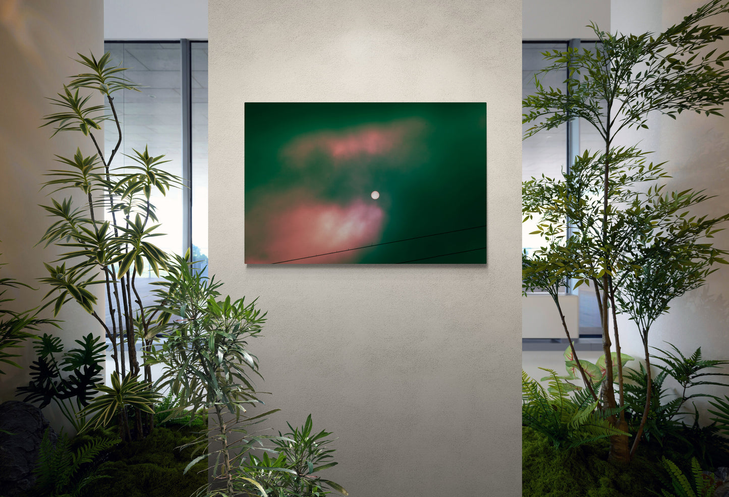 CANVAS PRINT: "COLOR ECLIPSE"